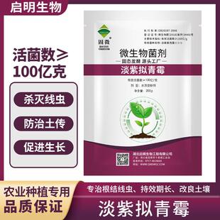 启明生物淡紫拟青霉生物防治线虫提产促生长微生物菌肥蔬果通用