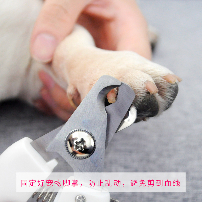 猫咪指甲剪指甲钳宠物指甲剪狗狗指甲剪泰迪小型犬指甲刀指甲锉