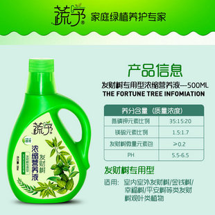 蔬予发财树专用浓缩营养液叶子变黄室内室外盆栽盆景液体肥料