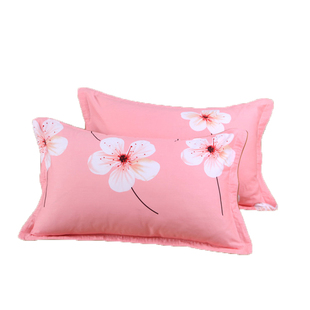 40x40抱枕大枕套定做尺寸6090大号成人一对装100*纯棉加大双单人