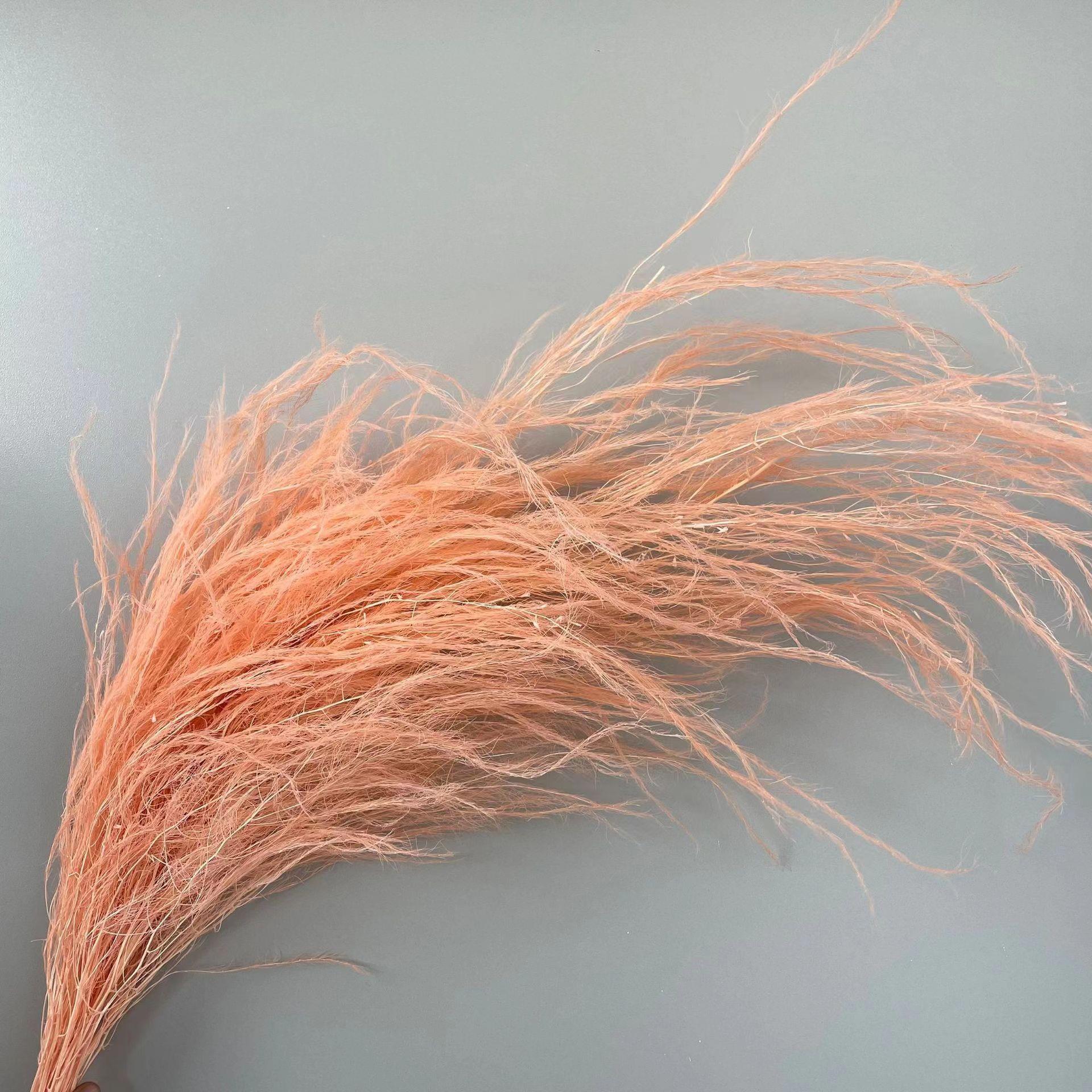 龙须草永生花干花吊米天然真花ins 家居插花装饰婚礼墙面软装花材