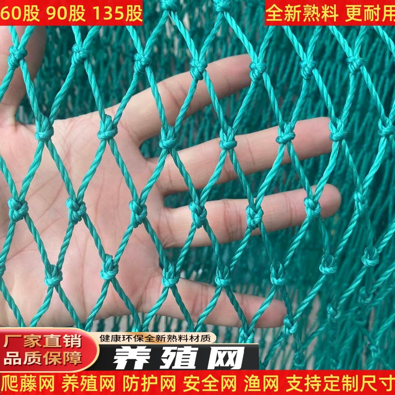 定制户外农用植物爬藤网丝瓜南瓜种植网池塘防护网渔网网片篮球网