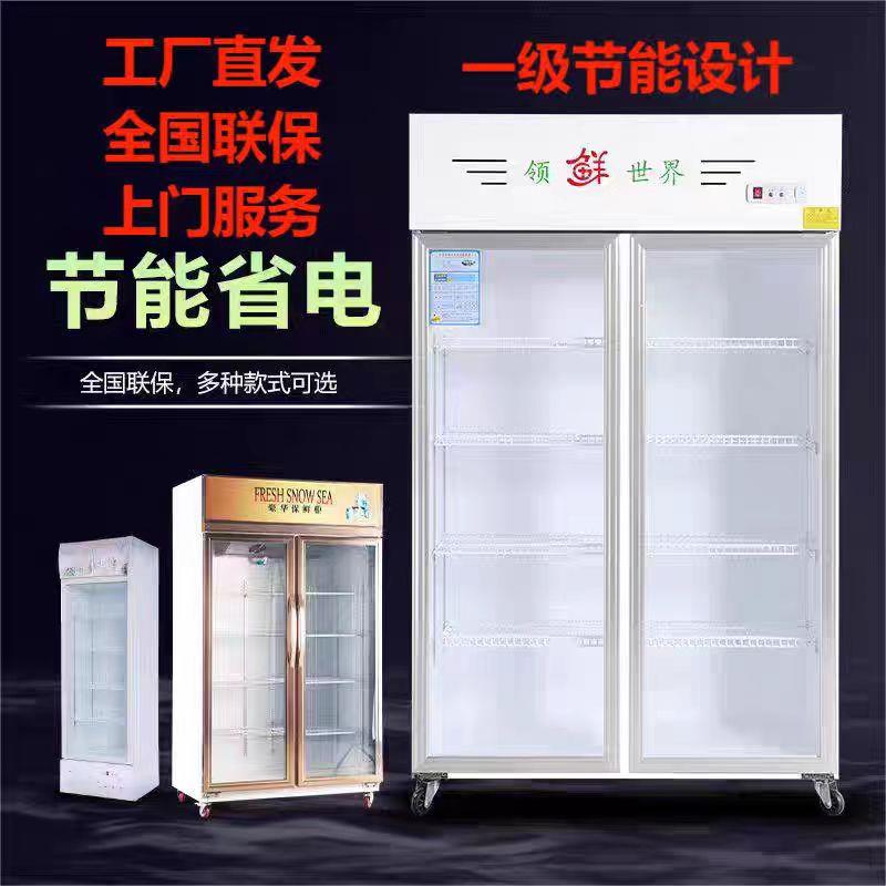 冷藏AA158柜展示柜保三鲜柜立式双门商门用料冷饮蔬菜水果饮柜立