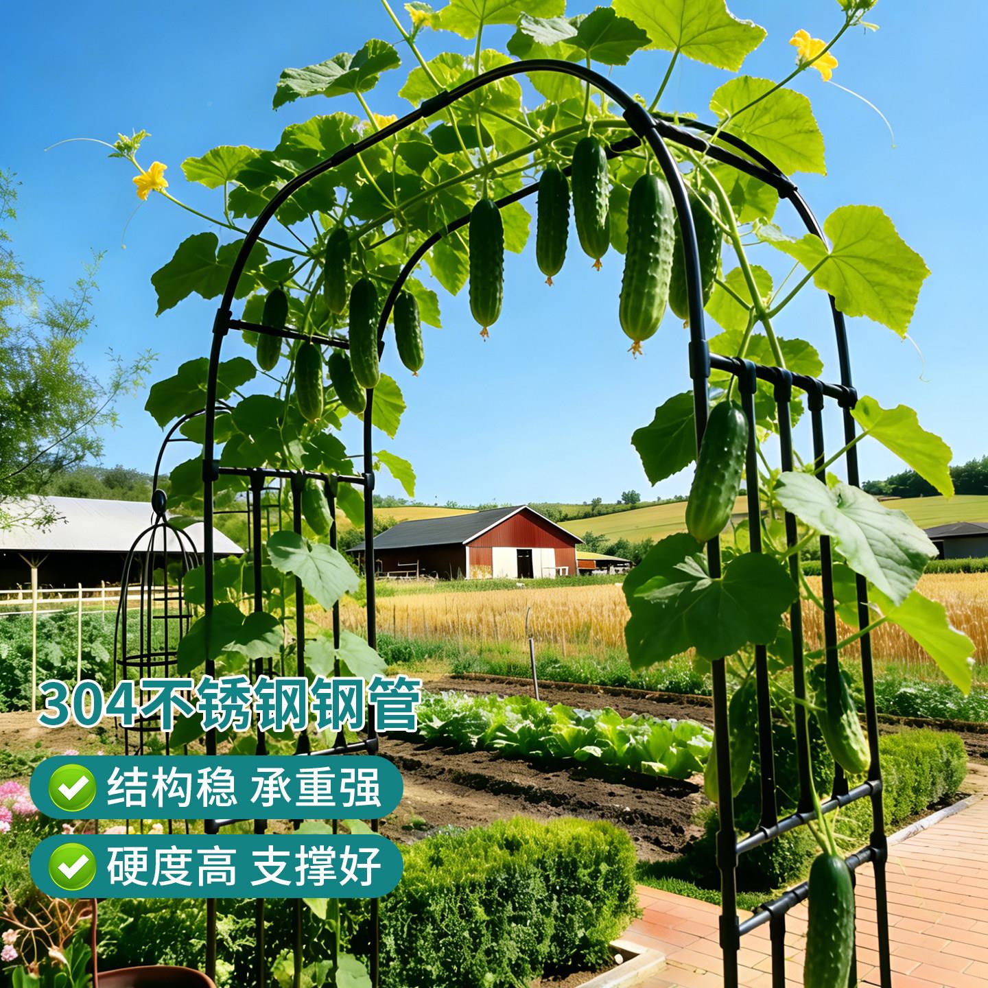 门304不锈拱花架BXG-GM葡萄专架户外庭用院月季爬藤架镀锌拱形钢