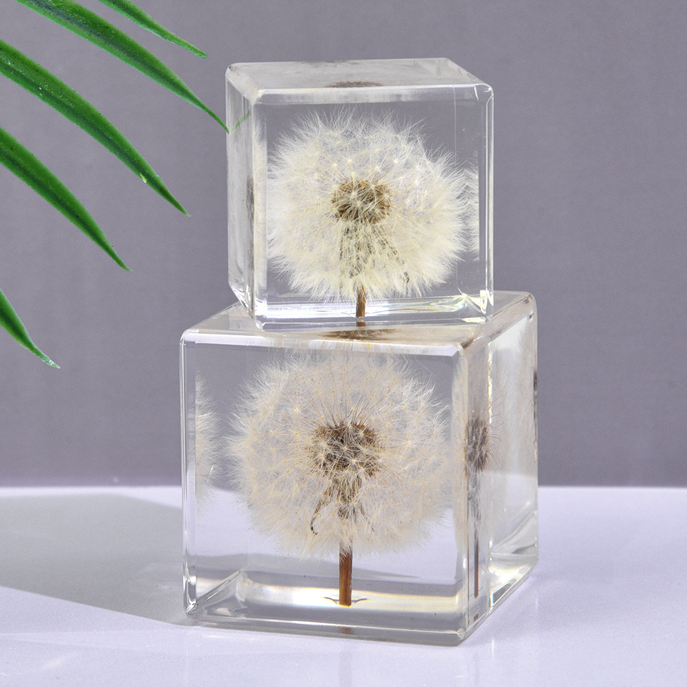 新款蒲公英方块树脂水晶生日礼品创意工艺品中秋节展会小礼品