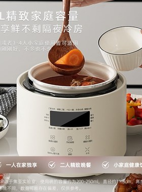 ioi电压力锅家用L压锅小型智能压力锅