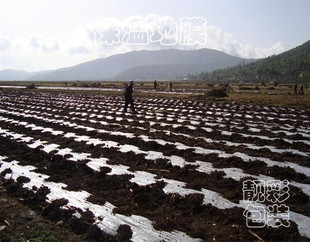 大棚膜无滴膜防水布装修防尘保护加厚塑料纸膜防雨保温地膜