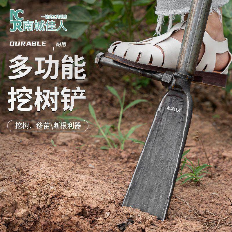 加厚挖树铲洛阳铲铁锹锰钢挖坑楸挖沟洞起苗树根挖土专用锹挖笋,农机/农具/农膜,铲子,淘宝优惠券,粉丝福利购,淘宝优惠卷
