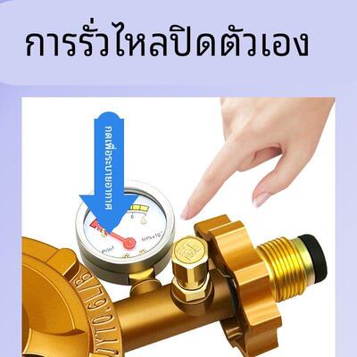 家用防爆减压阀瓶装液化气调压器低压阀燃气表配件新国标煤气阀门