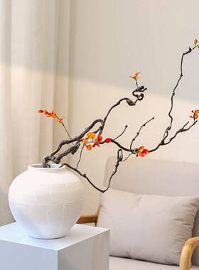 叶龙枣枝干树枝干枝饰摆客件厅高级中古风装禅PDC意侘枫寂风干花