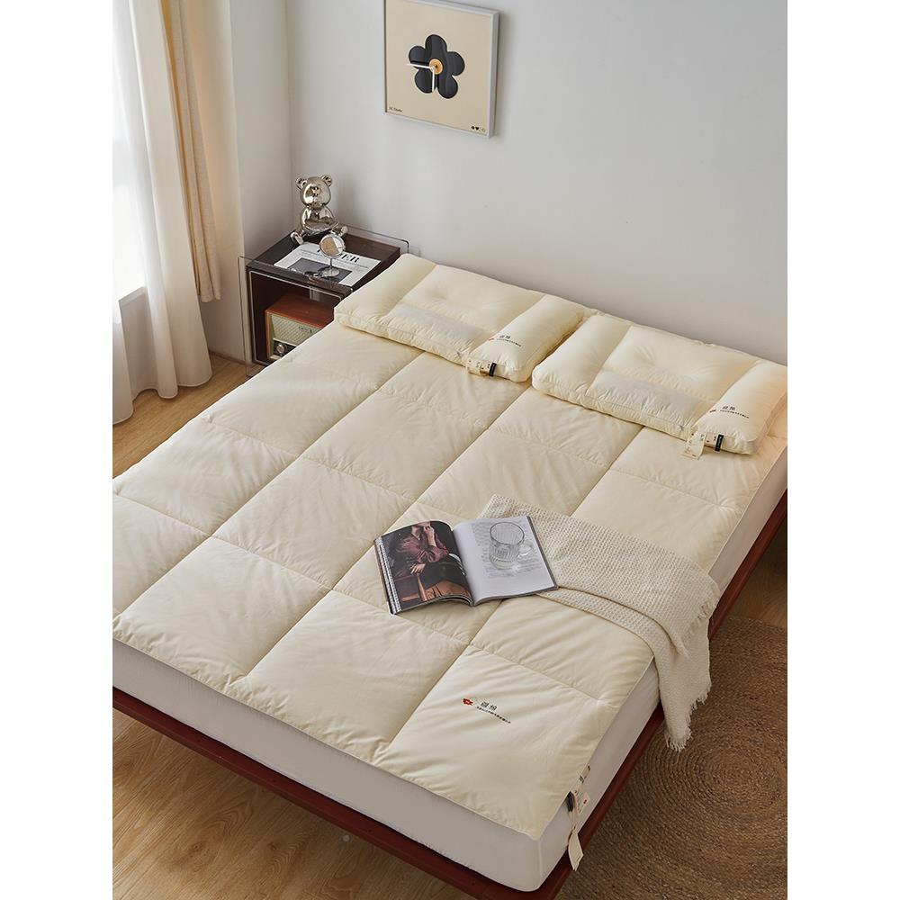 A类新生疆全棉床垫宿舍学软IRF垫加榻厚榻米棉花8垫子床褥垫.双人
