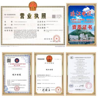 广东珠江电线电缆BV1R0/6平1方单芯多股纯进铜芯软线国标入户主线