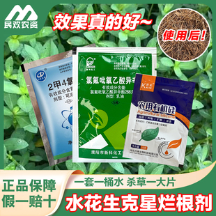 水花生克星烂根剂水花生专杀套装空心莲子草灭草剂死草烂根正品药