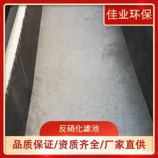 脱氮除磷反硝化滤池曝气生物滤池BAF污水修复反硝化深床滤池