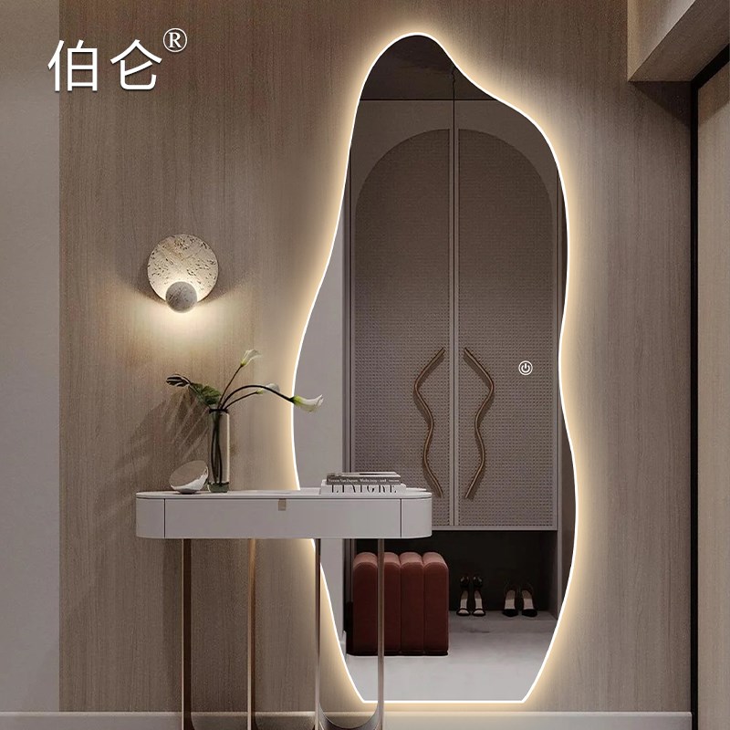 不规则全身镜带灯家用LED发光穿衣镜可充电壁挂试衣镜in装饰镜子