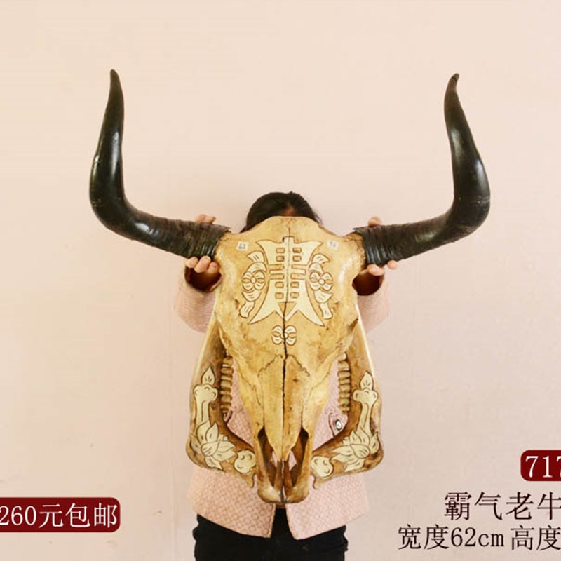 牛头骨装饰工艺品牦牛头骨装饰标本壁挂藏区标本特色壁饰真牛头骨