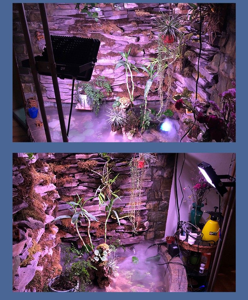 灯生长灯LD全光谱光合作用蔬菜卉大棚育苗水草多肉补光灯,家装灯饰光源,植物生长灯,淘宝优惠券,粉丝福利购,淘宝优惠卷