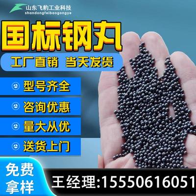 国标钢丸钢砂钢丝切丸不锈钢丸抛丸机钢丸抛丸喷砂合金强化铸钢丸