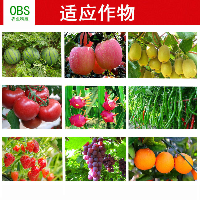 糖醇钙镁硼锌锰钼叶面肥中微量元素肥料钙镁肥硼肥锌肥锰肥硼钼肥,农用物资,新型肥料,淘宝优惠券,粉丝福利购,淘宝优惠卷