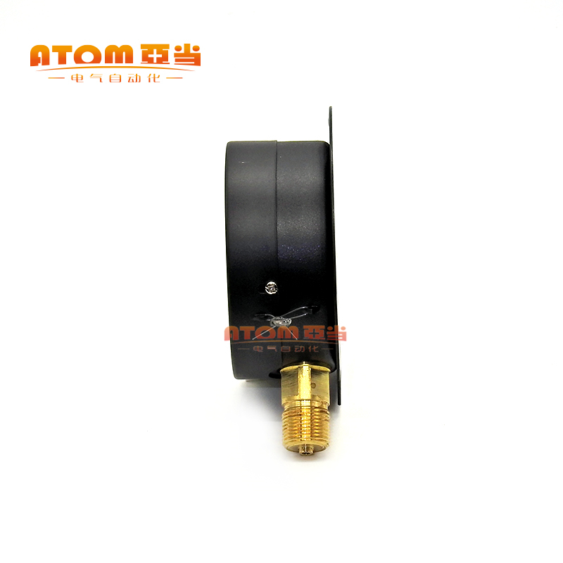 杭州鹳山YC100T船用压力表径向带边夜光船用表1.6MPa真空压力鹤山