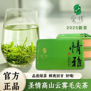 高山云雾毛尖正品绿茶2025新茶叶日照充足毛尖茶浓香型小包装