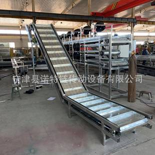工件输送链板提升机食品输送提升机蒜米链板提升机