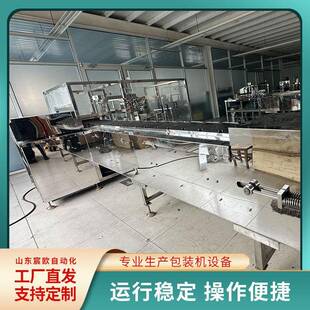 平推式 機(jī)一次性內(nèi)褲 套袋機(jī)全自動(dòng)包裝 設(shè)備 給袋包裝