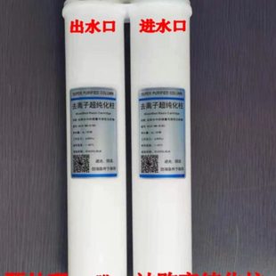 实验室超纯水机超纯化柱420 新款 反渗透柱100G预处理滤芯模具树脂