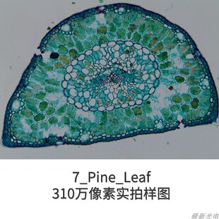 科研接口生物体视金相荧光显微镜O相U.带实验处理软件