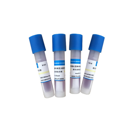 山东新华牌 压力蒸汽灭菌生物指示剂 嗜热芽孢杆菌