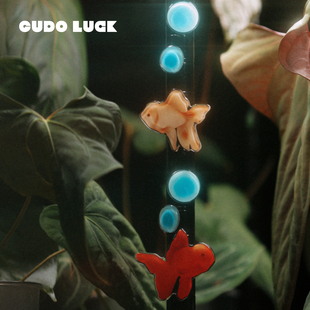 饰 好运金鱼亚克力冰箱贴磁吸便签海报贴文创插画装 新年礼赠