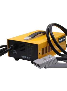 27222h铅酸免维护加液 池智能充电机