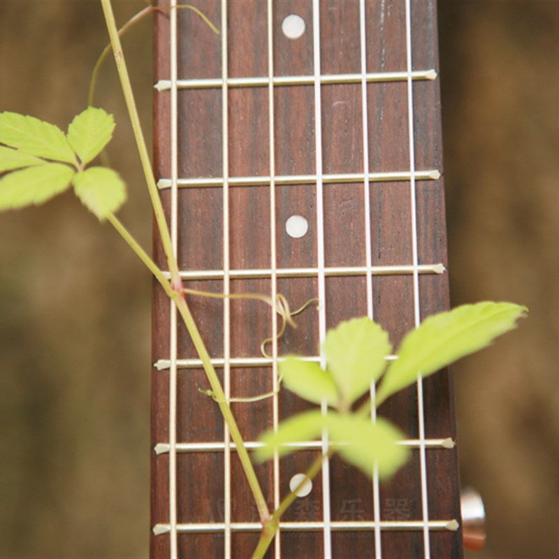 吉他丽丽Guitarlele儿童旅行小吉他里里古典六弦28寸