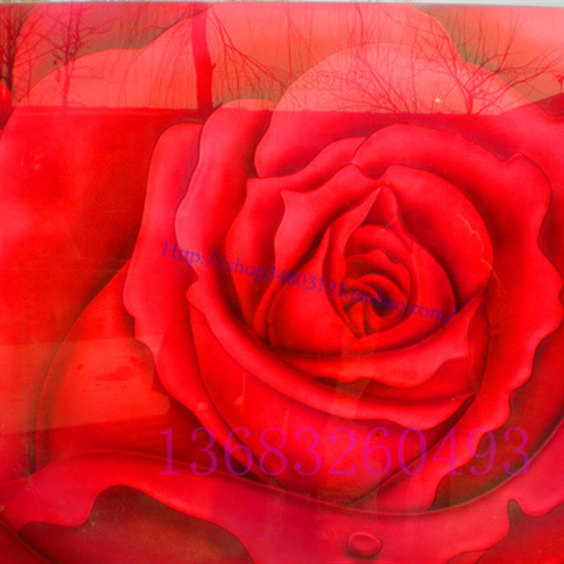 厂家定制钢化雕刻透光工艺术玻璃玄关屏风门背景墙彩雕玫瑰