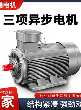 八极132S132M160M1160M22.2千瓦345.5W铜芯