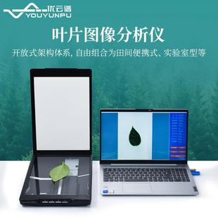 活体叶周长叶面积测量仪 叶片图像分析仪植物叶片面积测定仪扫描式