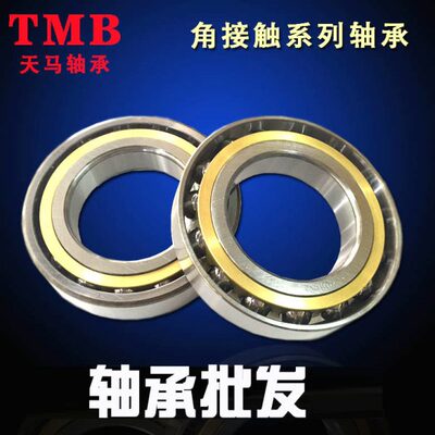TMB天马轴承7312 7313 7314 7315 7316 7317 7318 7319 7320 AC M