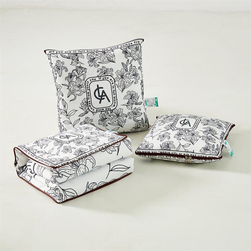 两用抱枕被垫枕头被休空被夏被凉YRF冰丝办公室简靠约汽车沙午调