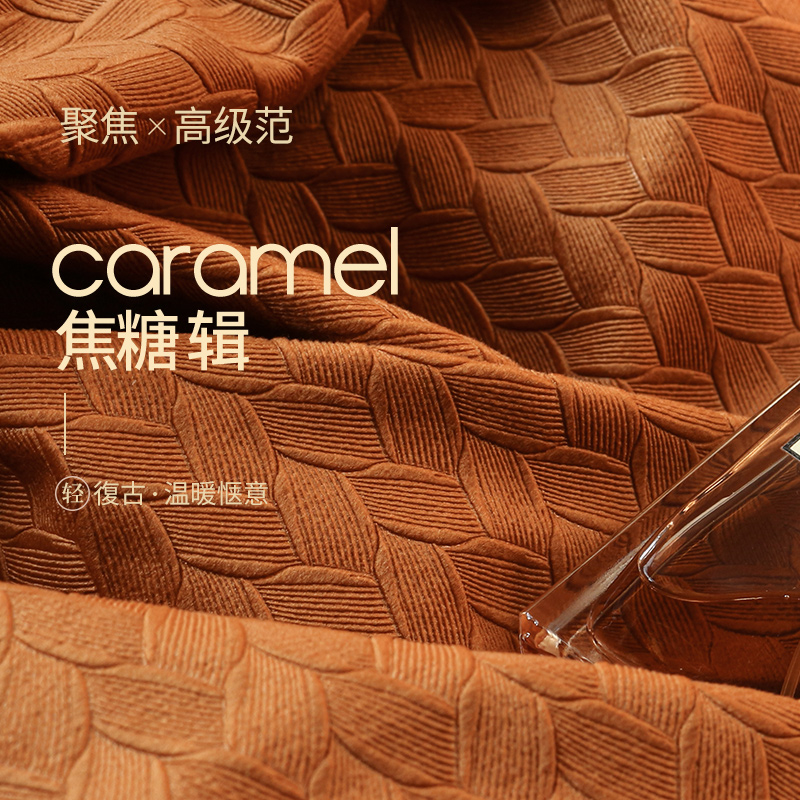 焦糖色丝绒窗帘卧室遮光2021年B新款客厅北欧简约法式轻奢复古绒