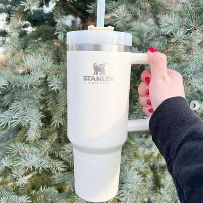 部分国现 加拿大Stanley大容量水杯健身车载杯手柄吸管杯