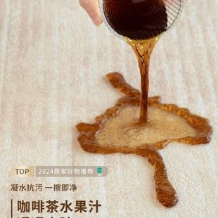 卧室免洗可擦高级感轻奢奶油风沙发茶几家用地垫 地毯客厅2024新款