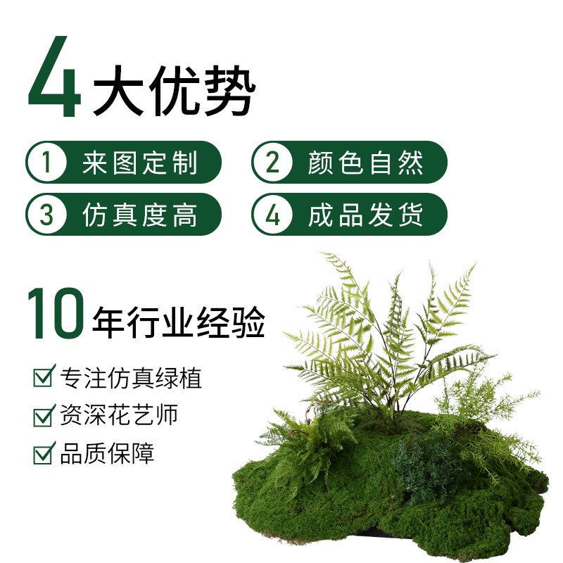 仿真绿植花艺造景室内软装摆件仿生蕨类植物橱窗装饰场景花草布置