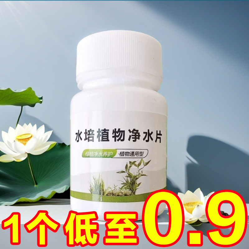 水培植物净水片除臭杀菌消毒富贵