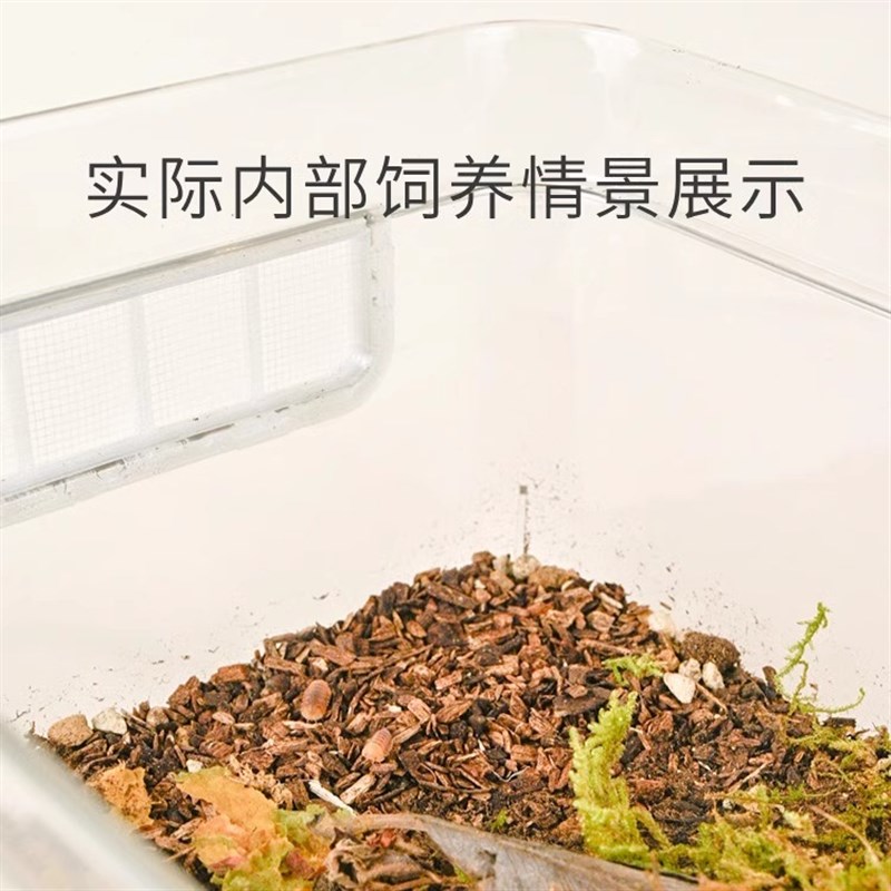 鼠妇饲养盒饲养箱西瓜虫饲养盒昆虫饲养箱亚克力饲养箱潮虫饲养盒