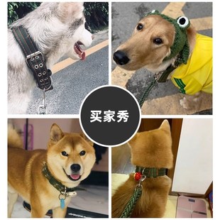 狗狗牵引绳大中型犬狗链子拉布拉多专用土狗脖圈金毛狗链条栓狗绳