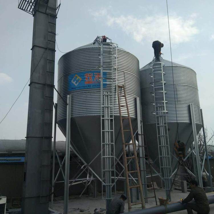 养殖料塔猪场自动喂料设备料线饲料储罐塔20吨30吨料仓厂家