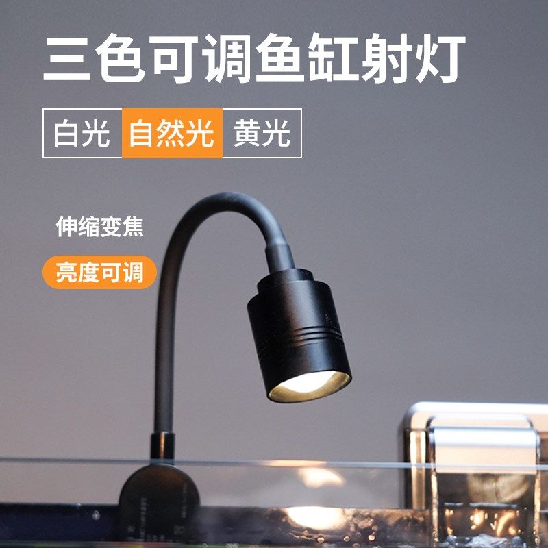 暗黑风鱼缸创意斗鱼缸小型南美超白玻璃缸黑背桌面生态缸方形高级