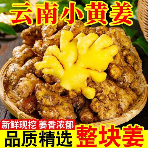 正宗云南小黄姜农家一级老姜特产