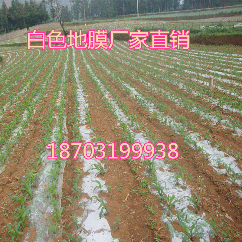 元宵宏源混凝土农用塑料薄膜白色透明地膜蔬菜保鲜保温保护专用膜,农机/农具/农膜,农用薄膜,淘宝优惠券,粉丝福利购,淘宝优惠卷