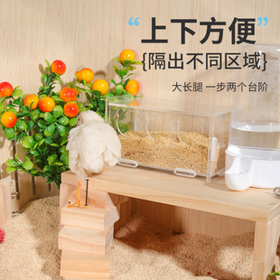 芦丁鸡喂食台宠物卢丁鸡饲养箱用品造景食盆水壶喝水平台置物架子